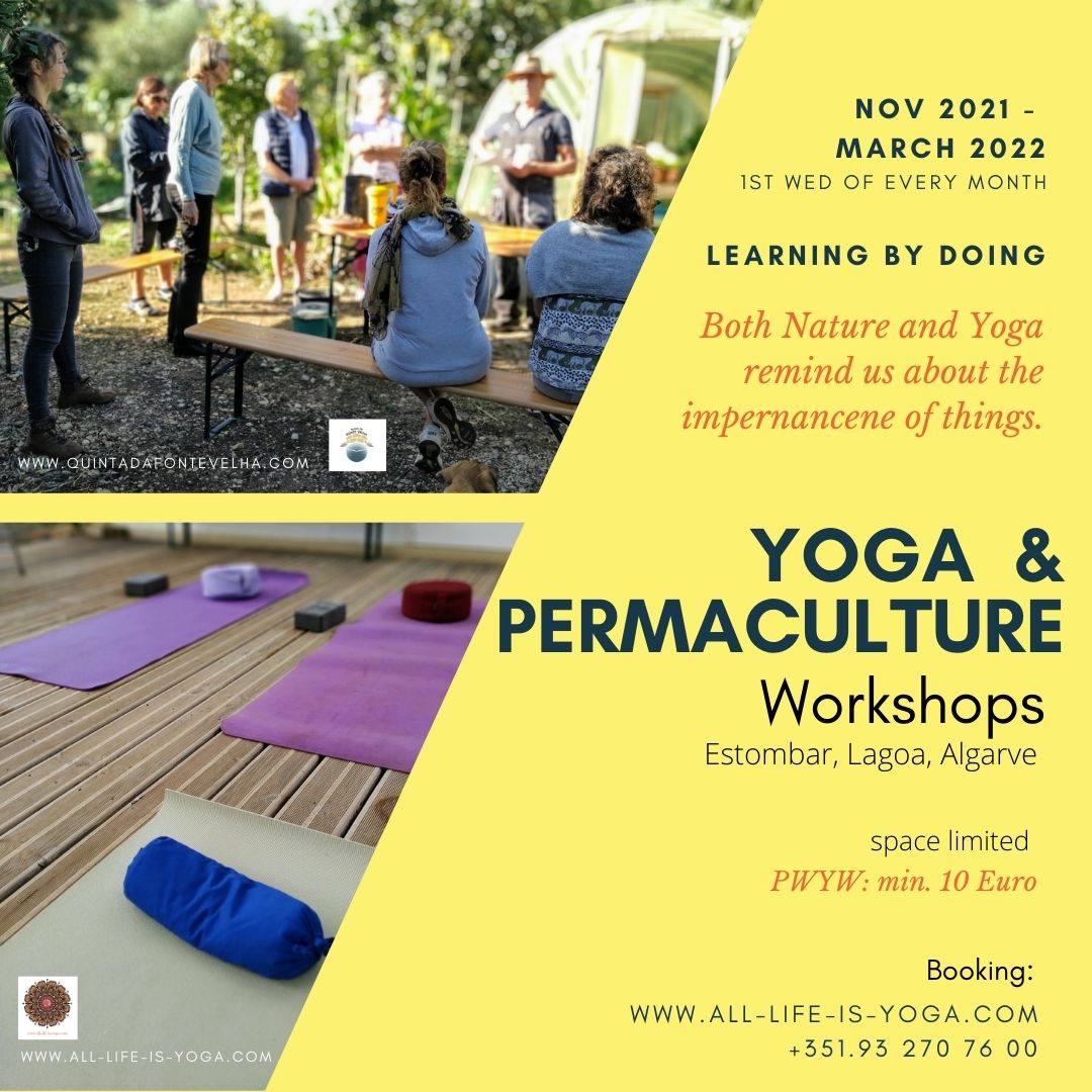 yoga & permaculture, algarve