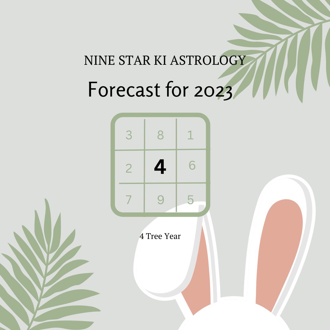 Forecast 2023 _ 9 Star Ki Astrology_ all life is yoga