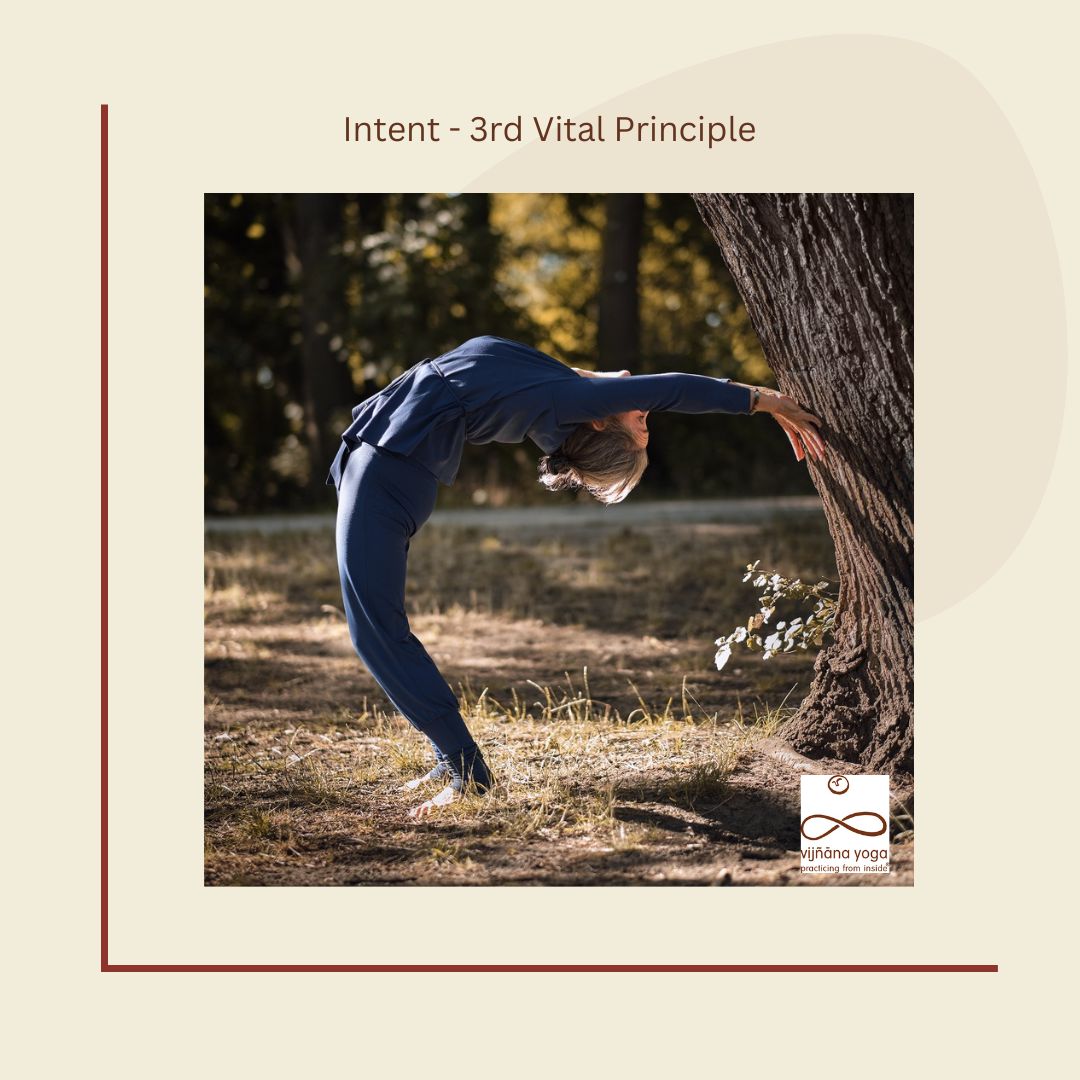 7 Vital Prinicples_Intent_Vijnana Yoga