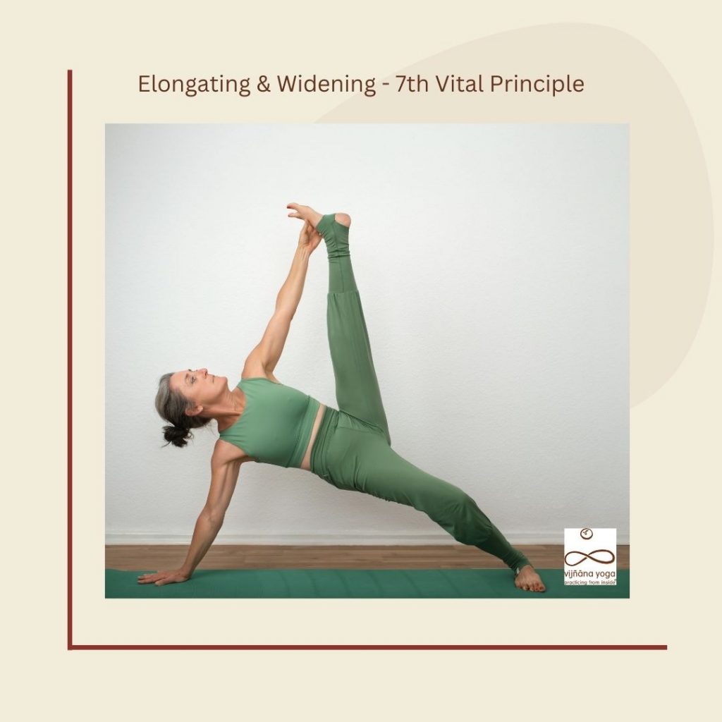 blogpost seven vital principles Vijnana yoga All life is yoga